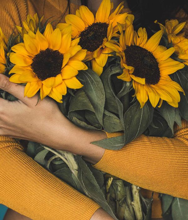 Die Arme einer Frau in orang-gelben Pulli. In ihren Armen hält sie einen Strauß Sonnenblumen.
